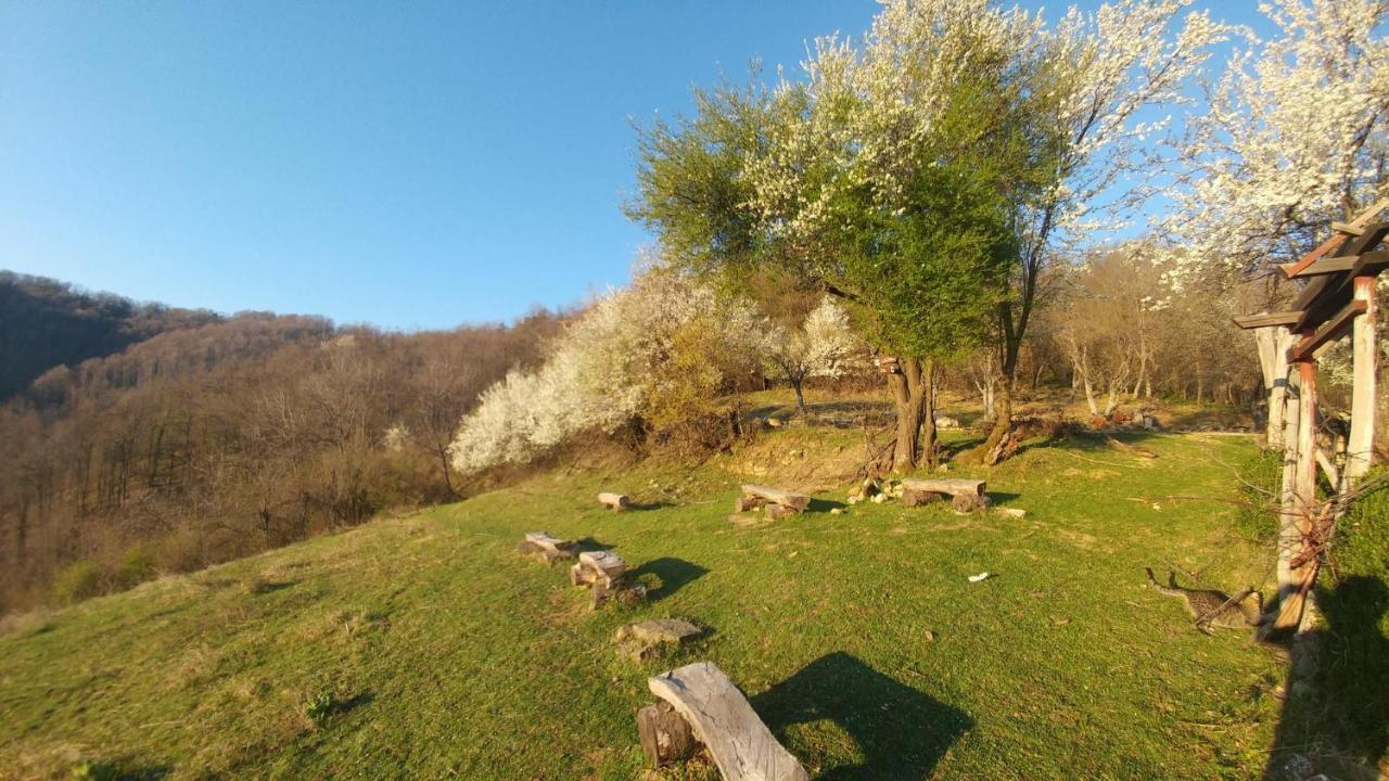 Арт Комплекс Горски Дом - Трявна Kültér fotó
